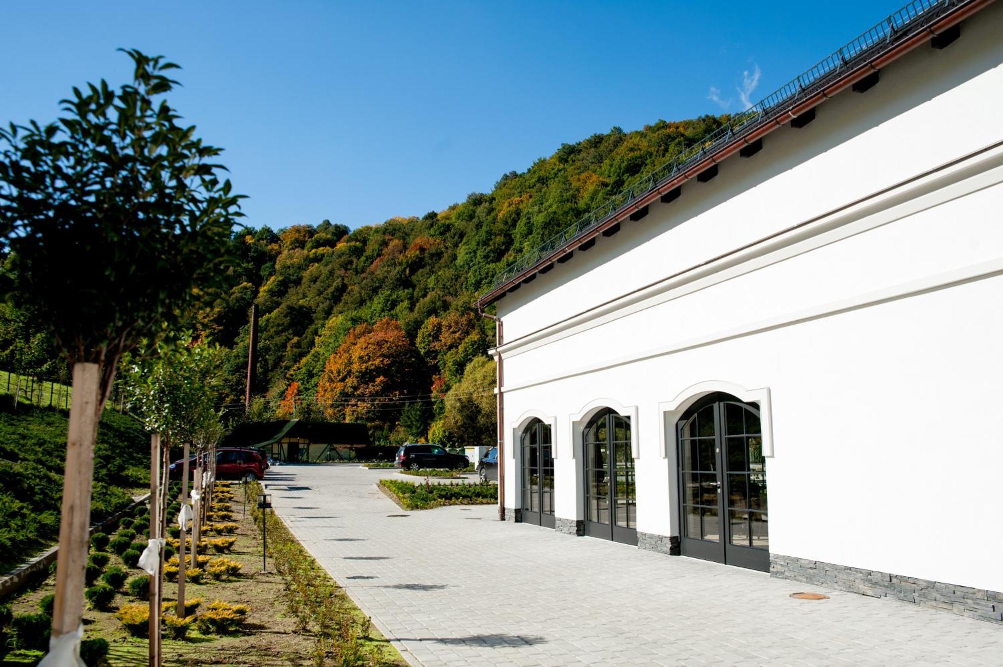 Hotel Palac Jugowice Wałbrzych Εξωτερικό φωτογραφία